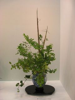 1.竹島百合.jpg