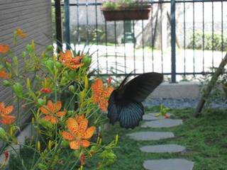 IMG_0135.jpg